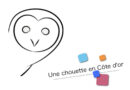 Une chouette en Côte d’Or